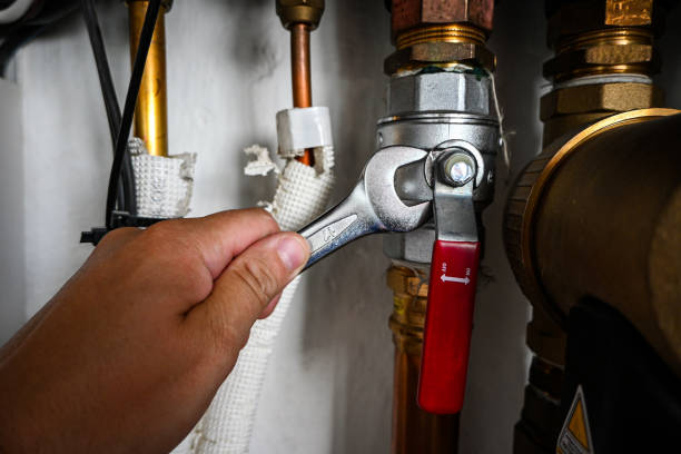 Best Best Plumbers Near Me  in Rockville, MN